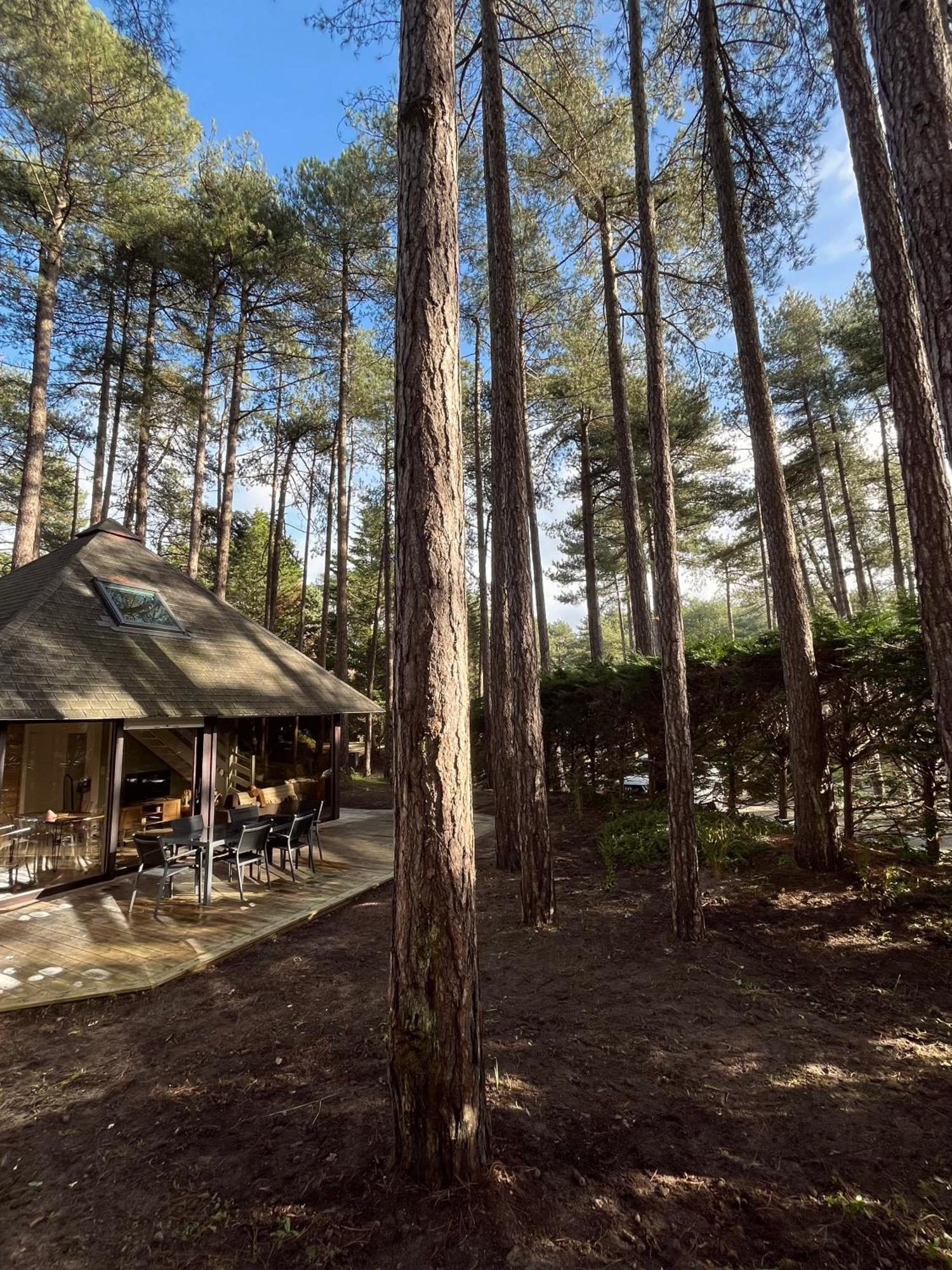 L Oree De La Pinede Hardelot Plage A 800 Metres De La Mer Sous Les Pins Exterior photo